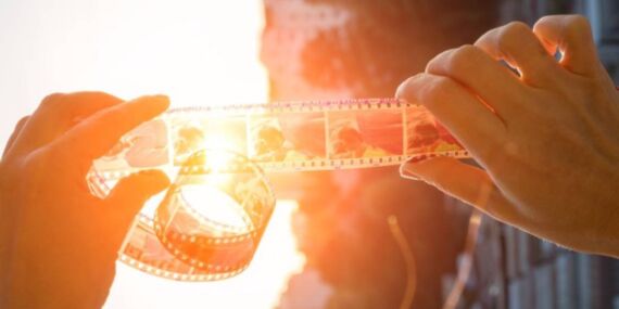 Beyin sağlığını zirveye taşıyan 6 etkili besin