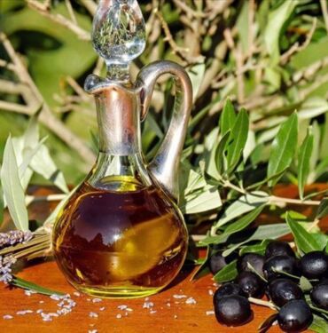 zeytin eğitimi