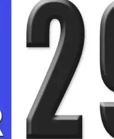 29 plaka
