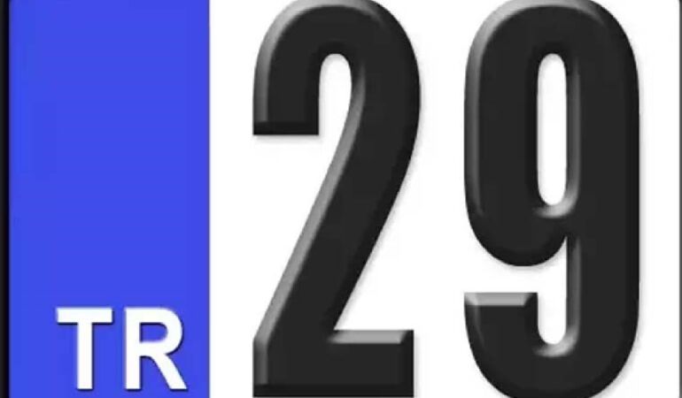 29 plaka