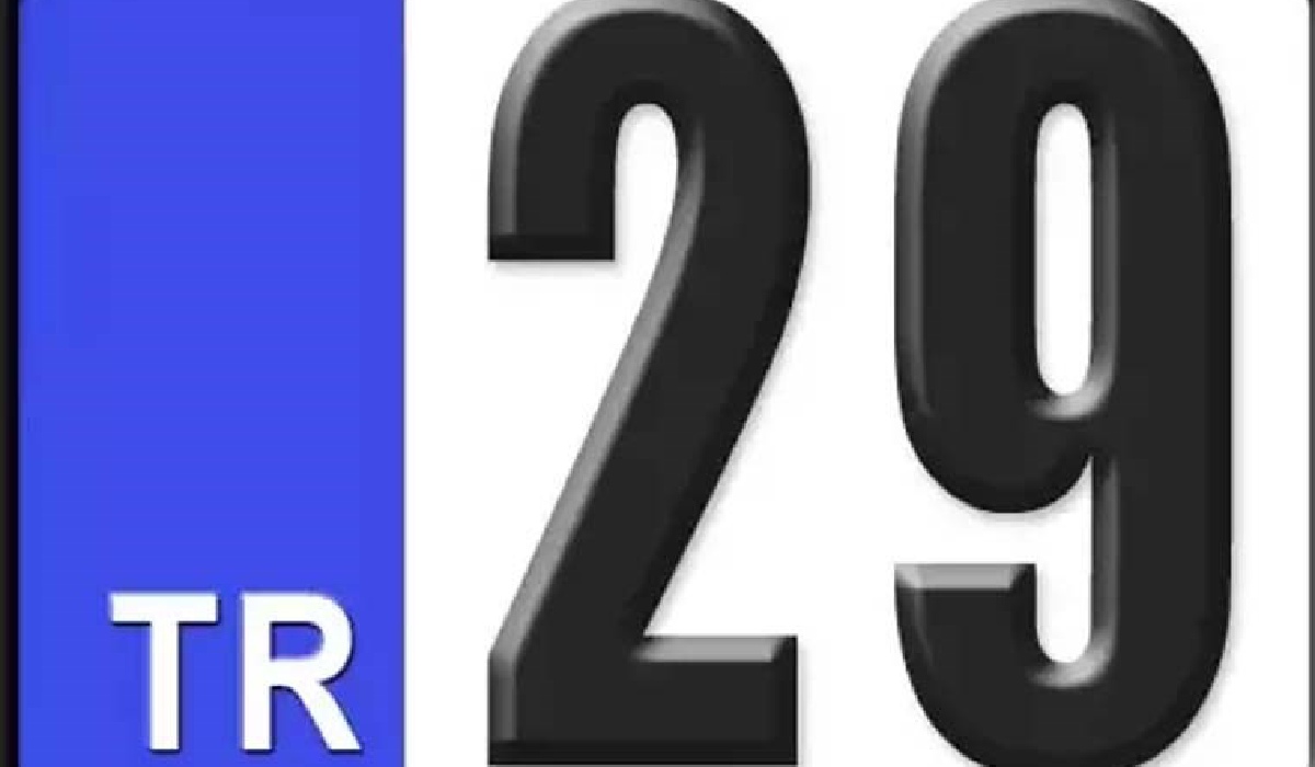 29 plaka