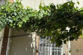 4. kattan düşen bebek