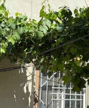4. kattan düşen bebek