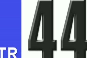 44