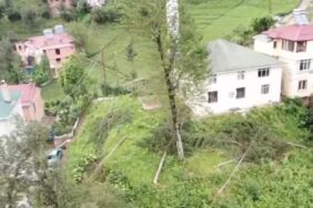 800 yıllık camiyi korumak için ağaçlar kesildi!