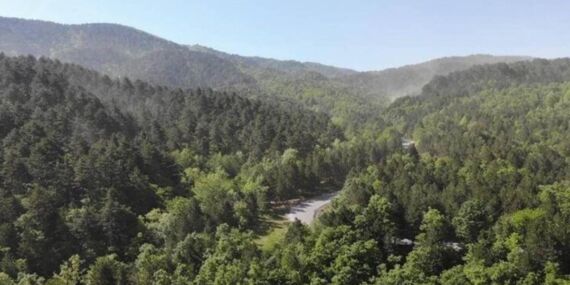 81 ile 81 orman projesinde ilk adım!