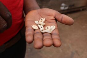 Afrika kıtasının ilk ödeme aracı Cauri