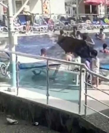 Alanya'da başına baca kapağı düşen kadın yaşamını yitirdi