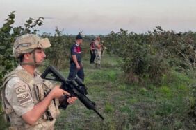 Altın değerinde mahsuller için jandarma nöbet tutuyor