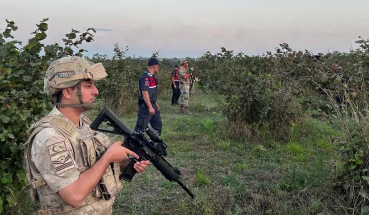 Altın değerinde mahsuller için jandarma nöbet tutuyor