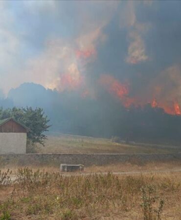 Ankara'da başlayan yangın Bolu'ya sıçradı