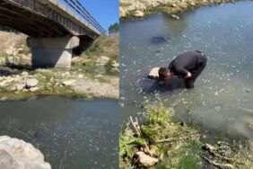 Atıklarını dereye boşaltan patates firmasına ceza