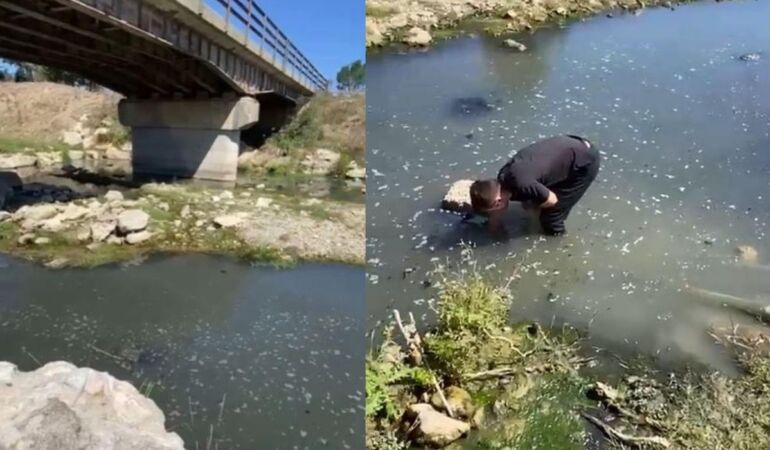 Atıklarını dereye boşaltan patates firmasına ceza