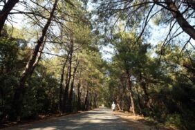 Aydın'daki Dilek Yarımadası yangın riski nedeniyle ziyarete kapatıldı