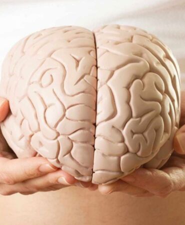 'Bağırsak sağlığı, beyin fonksiyonları üzerinde belirleyici bir etkiye sahip'