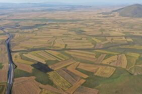 Bereketli Kars Ovası halı gibi desenlere büründü