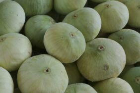 Bursa’daki çiftçiler uyardı 'Mazot parasını karşılamıyor, vatandaşlar yiyemeyecek'