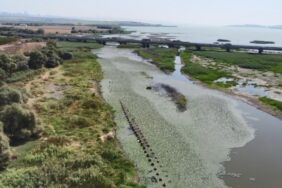 Büyükçekmece Baraj Gölü'nde su seviyesi düştü Tarihi Çakmak Hattı ortaya çıktı