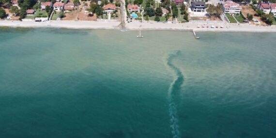 Büyükçekmece’de denizin rengi kahverengiye döndü