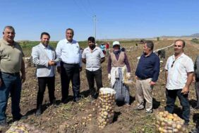 CHP Niğde Milletvekili Ömer Fethi Gürer, patates tarlasında 'Çiftçi kan ağlıyor'