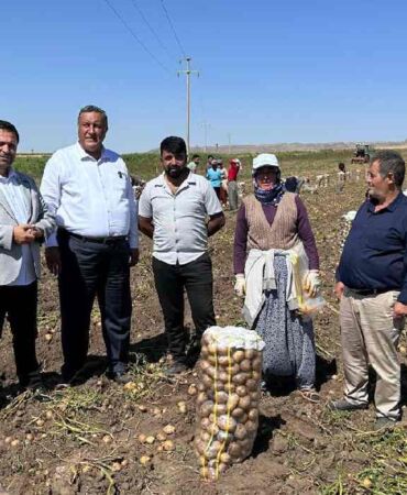 CHP Niğde Milletvekili Ömer Fethi Gürer, patates tarlasında 'Çiftçi kan ağlıyor'