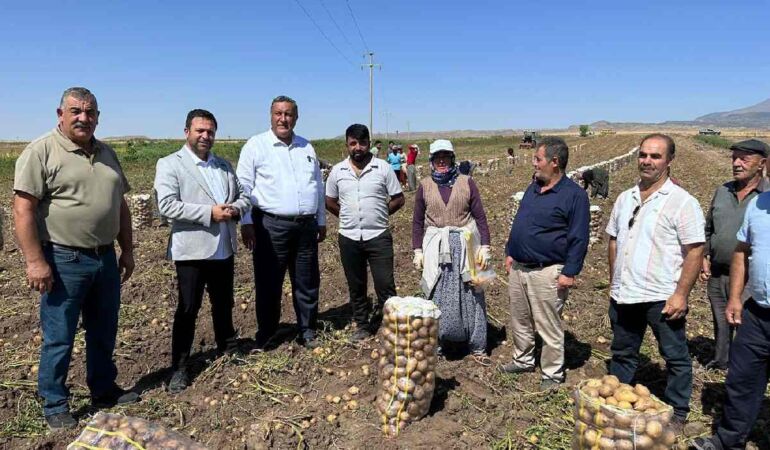 CHP Niğde Milletvekili Ömer Fethi Gürer, patates tarlasında 'Çiftçi kan ağlıyor'