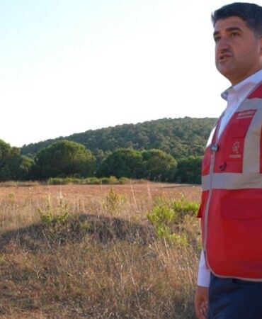 CHP'den sokak hayvanları için proje İstanbul'da rehabilitasyon merkezi kurulacak