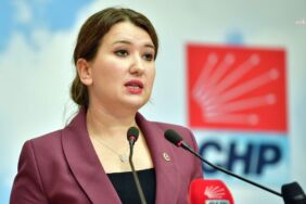 CHP'li Gökçe Gökçen 'Instagram’ı kapatmanın, sokaktaki vatandaşın ağzını kapatmaktan hiçbir farkı yok'