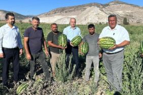 CHP'li Ömer Fethi Gürer 'Karpuzun kilosu tarlada 1 lira, markette 10 lira'