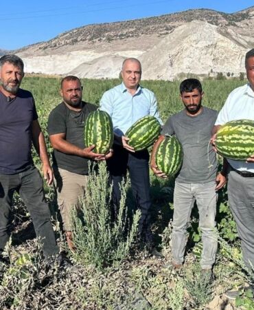 CHP'li Ömer Fethi Gürer 'Karpuzun kilosu tarlada 1 lira, markette 10 lira'