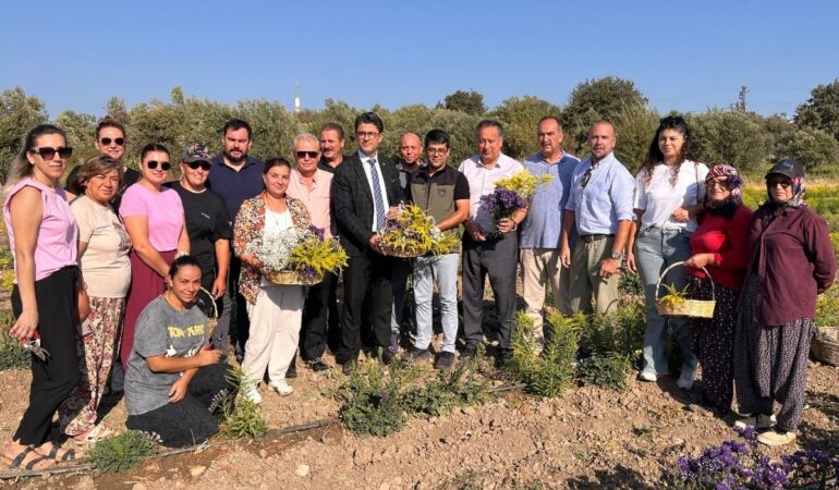 Çanakkale’de süs bitkisi üretiminde hasat başladı