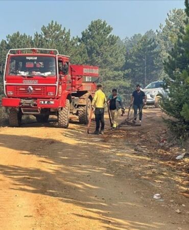 Çankırı Ilgaz'da çıkan orman yangınında 44 hektar alan zarar gördü