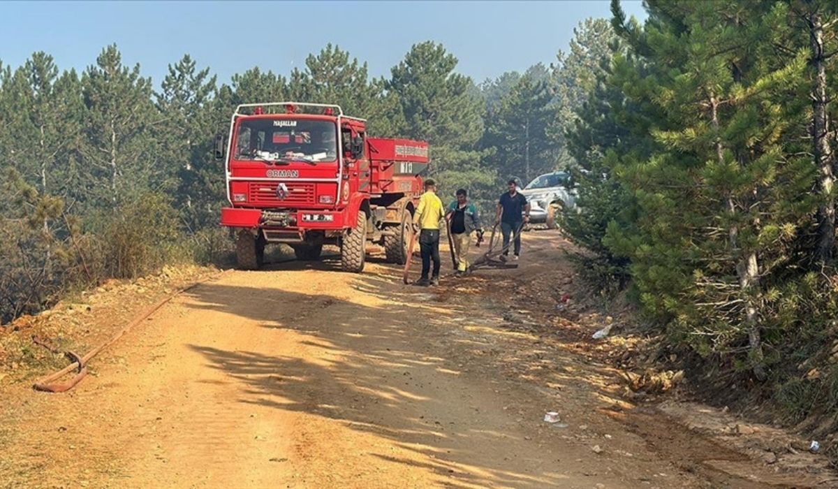 Çankırı Ilgaz'da çıkan orman yangınında 44 hektar alan zarar gördü