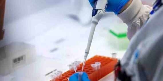 DSÖ Acil Durum Komitesi, M çiçeği virüsünün “uluslararası öneme sahip bir halk sağlığı acil durumu oluşturduğunu” açıkladı