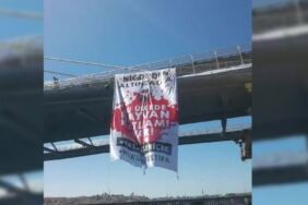 Haliç'te sokak hayvanları yasasına karşı protesto 'Hükümet istifa'