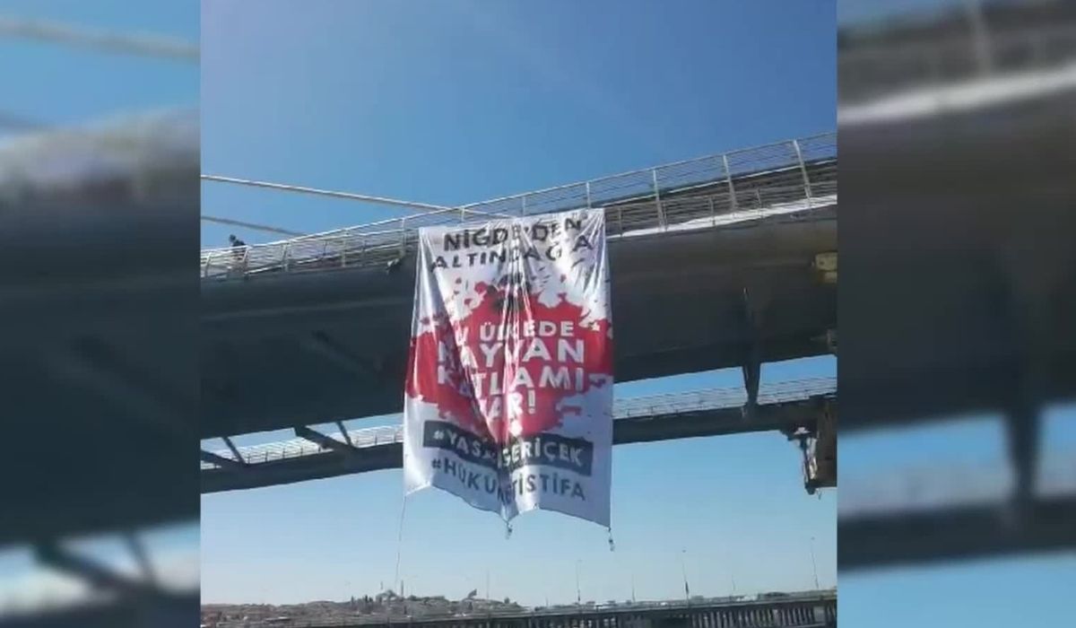 Haliç'te sokak hayvanları yasasına karşı protesto 'Hükümet istifa'