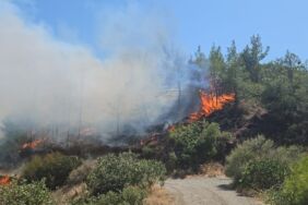 Hatay'da orman yangını!