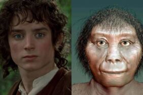 'Hobbitler' tahmin edilenden daha kısa olabilir