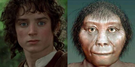 ‘Hobbitler’ tahmin edilenden daha kısa olabilir