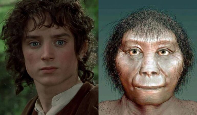 ‘Hobbitler’ tahmin edilenden daha kısa olabilir