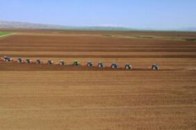 İlk yerli şeker pancarı tohumlarının hasadı başladı