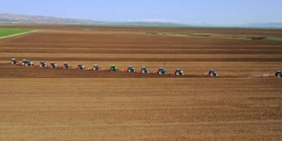 İlk yerli şeker pancarı tohumlarının hasadı başladı