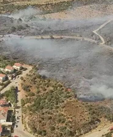 İzmir'de orman yangını!