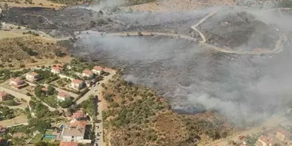 İzmir’de orman yangını!