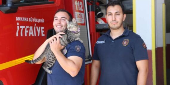 Kahraman itfaiyeci deprem enkazından kurtardığı ‘Maraş’ ile yaşıyor