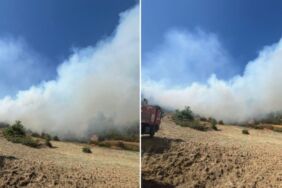 Kahramanmaraş'ta orman yangını! Çok sayıda ekip sevk edildi