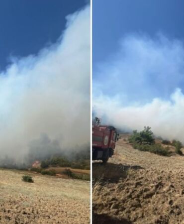 Kahramanmaraş'ta orman yangını! Çok sayıda ekip sevk edildi