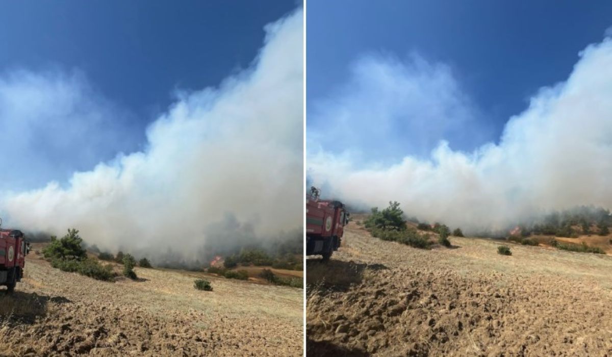 Kahramanmaraş'ta orman yangını! Çok sayıda ekip sevk edildi