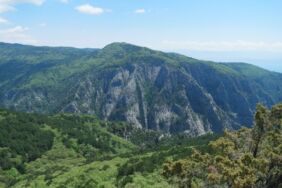 Kazdağları Milli Parkı yangın riski nedeniyle 31 Ekim'e kadar girişe kapatıldı