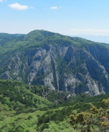 Kazdağları Milli Parkı yangın riski nedeniyle 31 Ekim'e kadar girişe kapatıldı
